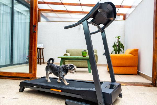 Cost of Treadmill Installation in Portland
