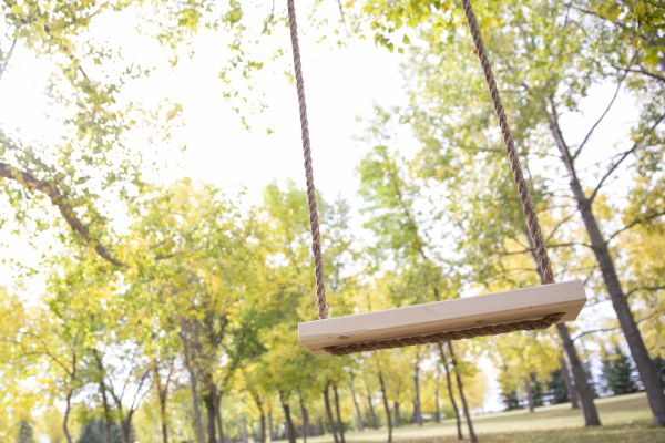 Cost of Tree Swing Installation in Portland