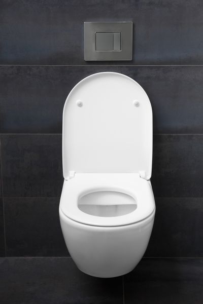 Cost of Toilet Lid Installation in Portland