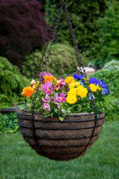 Cost of Hanging Basket Installation in Portland