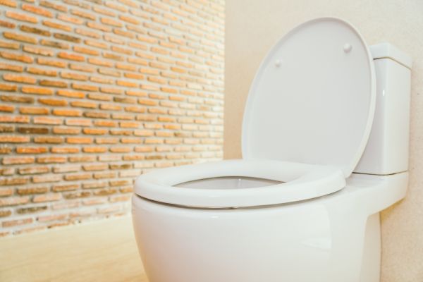 Cost of Toilet Seat Repair in Portland