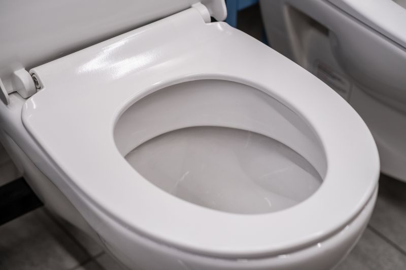 Toilet Seat Installation